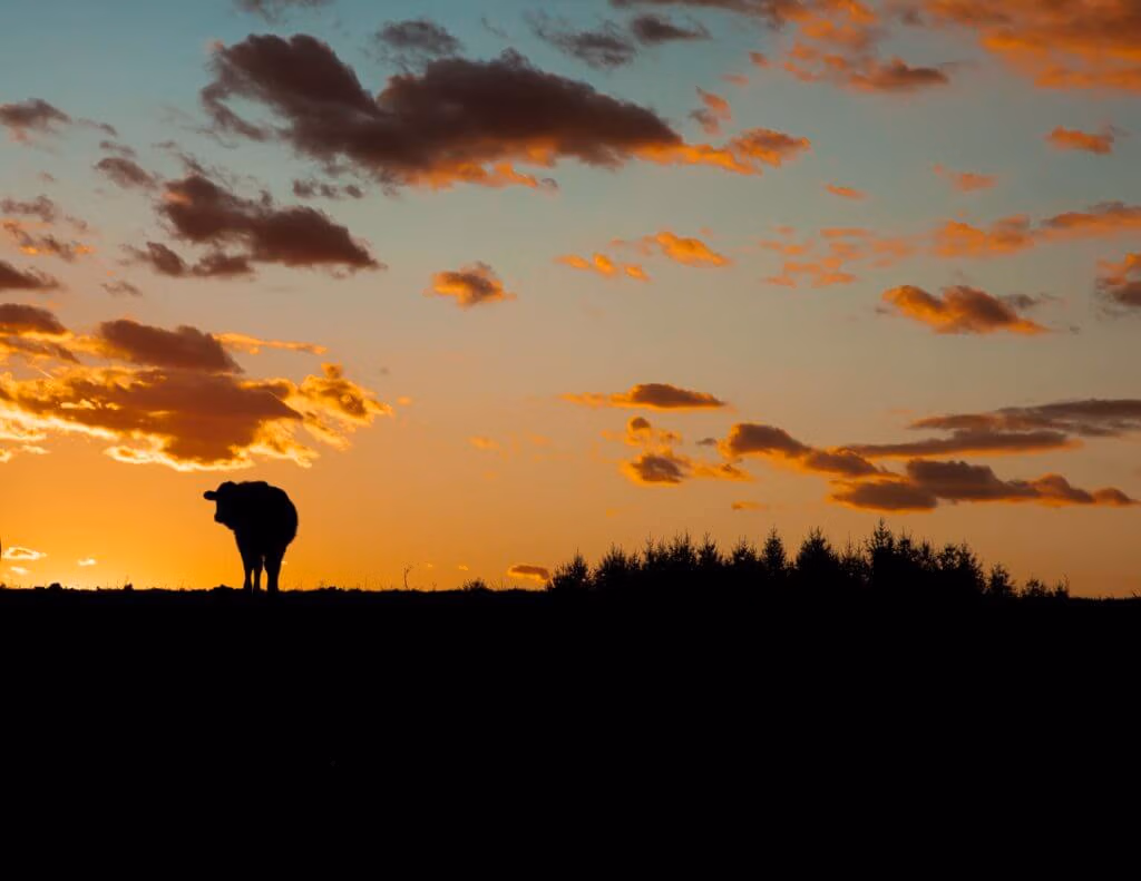 Agricultural or Cultivated Land & Farms Landowner Support