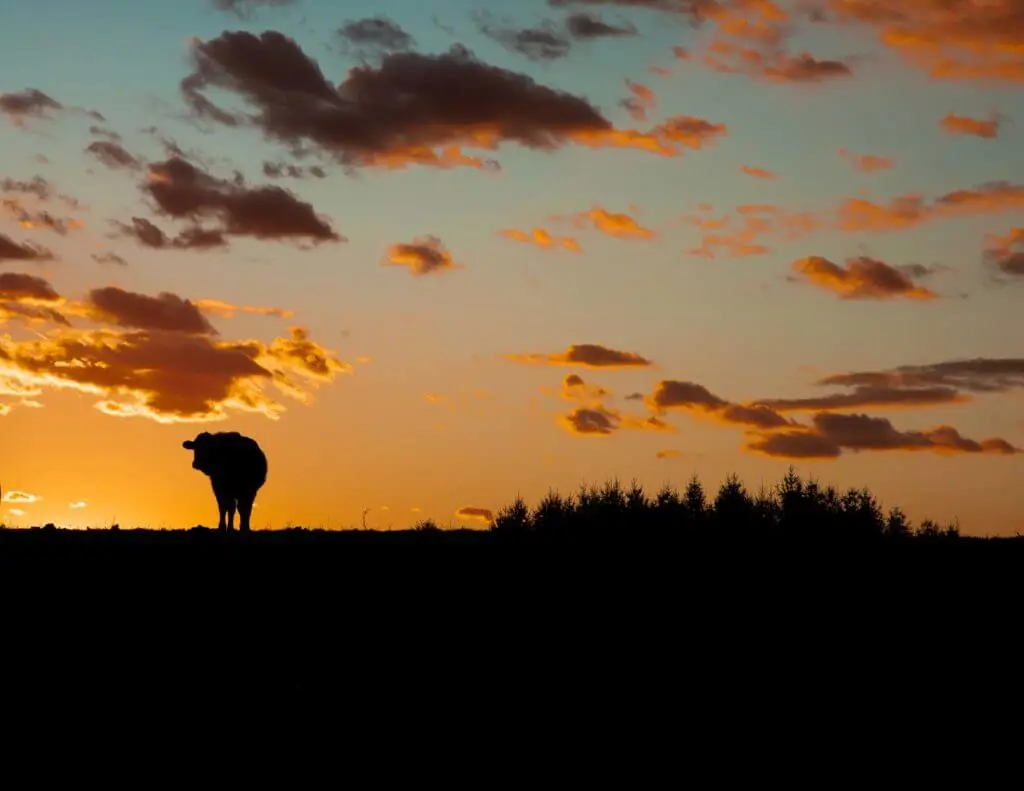 Agricultural or Cultivated Land & Farms Landowner Support