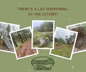 There’s a lot happening at the Letort - Central Pennsylvania Conservancy