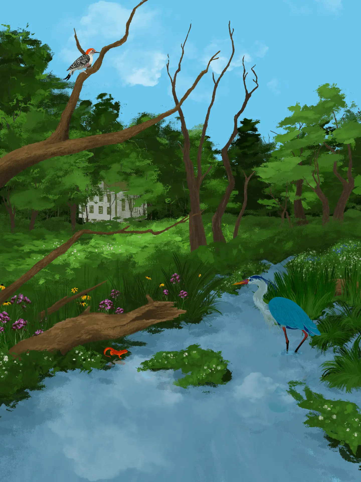 Celebration of the Letort Prints Available