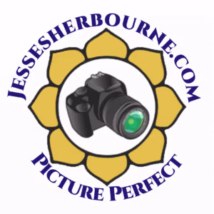 Logo for a photography site: a black camera at the center of a yellow flower-like circle, with curved text around reading the site URL at the top and 'PICTURE PERFECT' at the bottom.