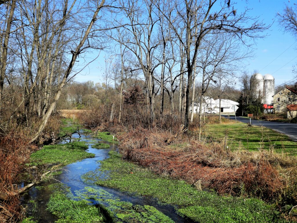 Winter rural scene with leafless trees along a narrow stream, green algae in the water, and distant farm buildings with silos under a blue sky.