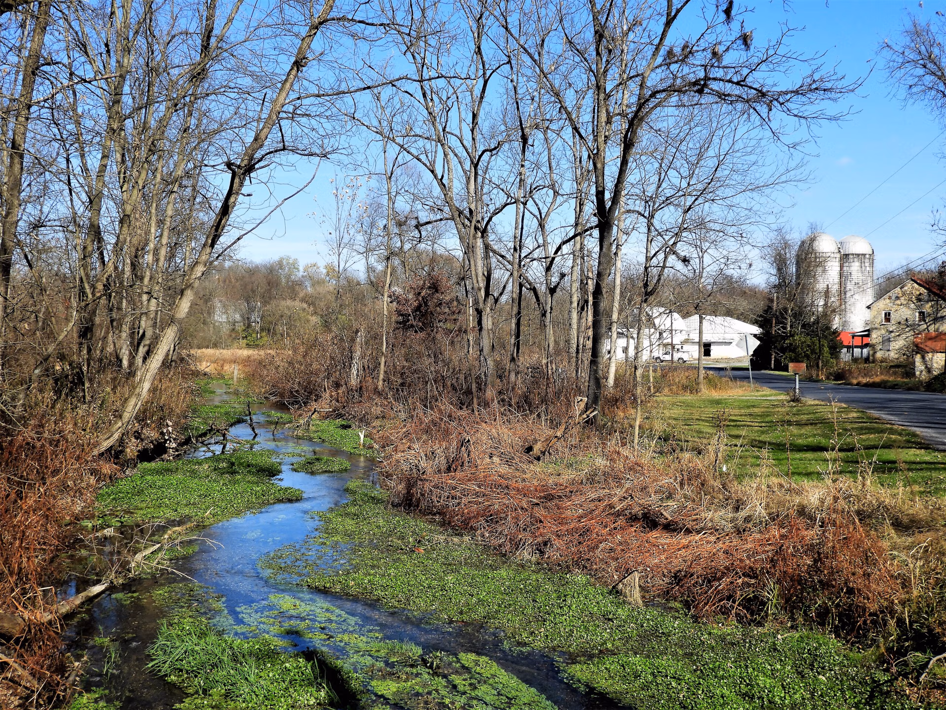Winter rural scene with leafless trees along a narrow stream, green algae in the water, and distant farm buildings with silos under a blue sky.