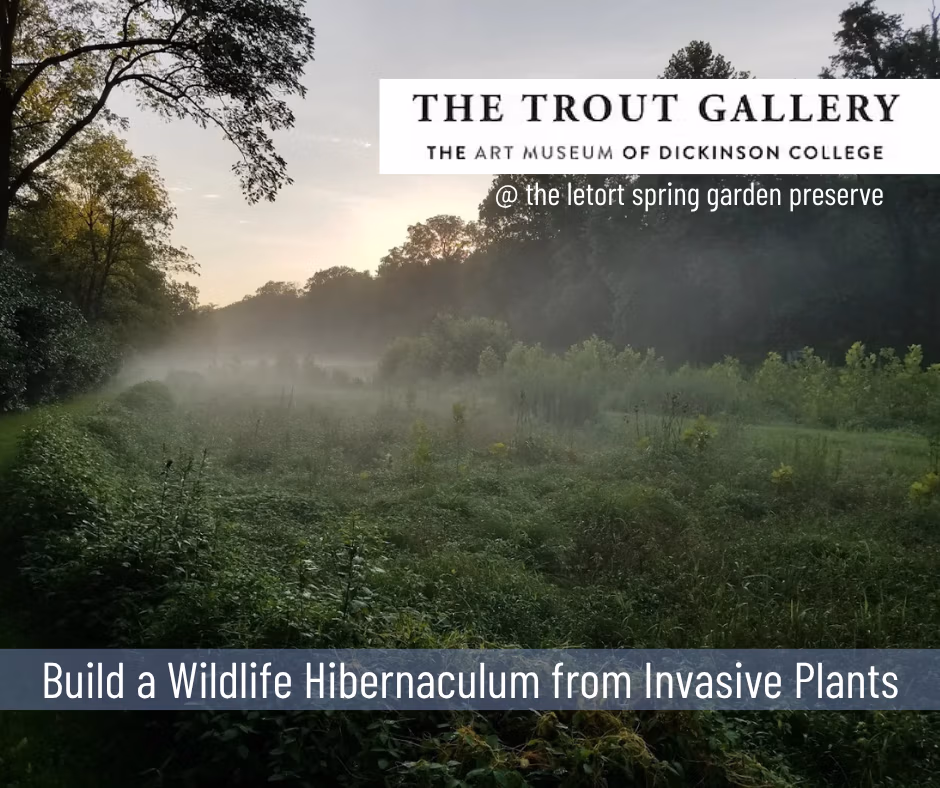 CPC Posts - Central Pennsylvania Conservancy Mist in a field with trees, featuring a white logo for The Trout Gallery and the caption about building a wildlife hibernaculum from invasive plants.