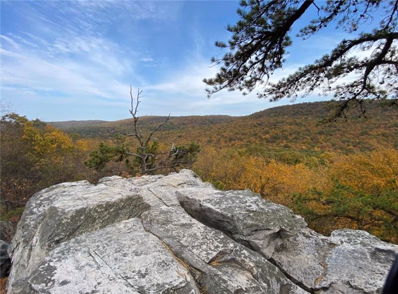 Rocky cliff edge overlooking a forest in autumn colors under a blue sky.